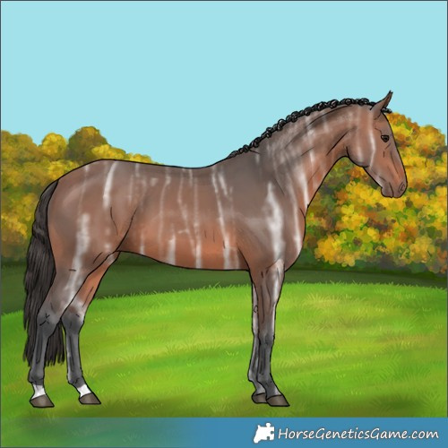 Horse Color:Bay Ice 