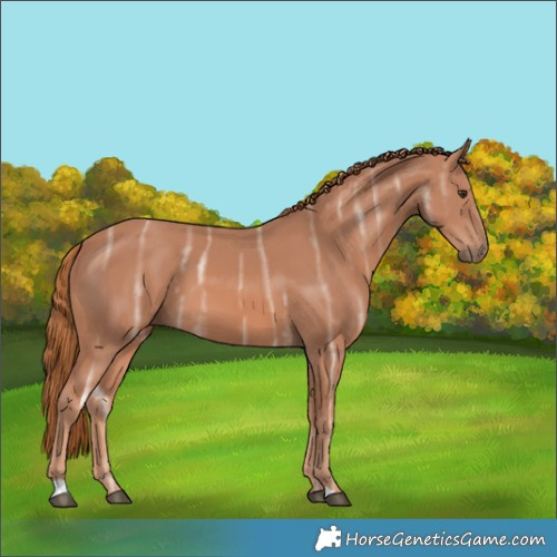 Horse Color:Chestnut Ice 