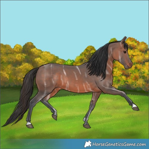 Horse Color:Brown Ice 