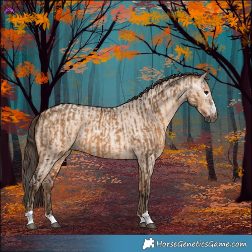 Horse Color:Gray Bay Dun and Amber Champagne Roan