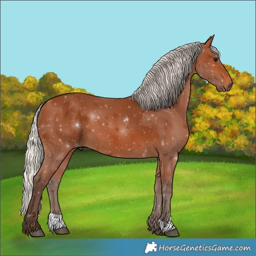 Horse Color:Silver Bay 