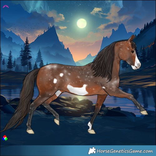 Horse Color:Bay Frame 