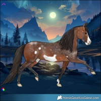 Horse Color:Bay Frame