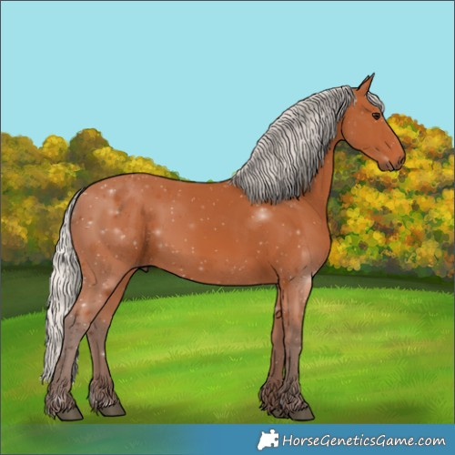 Horse Color:Silver Bay 