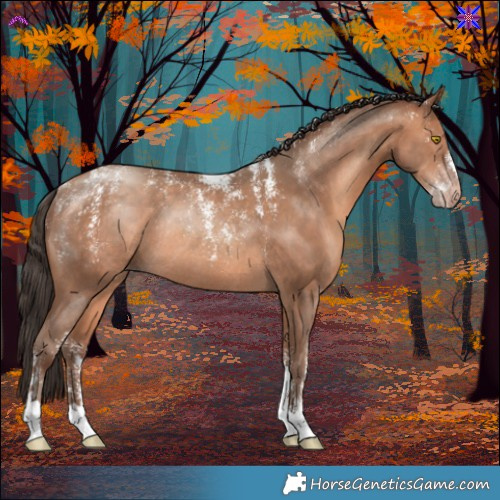Horse Color:Powder White Amber Champagne Rabicano