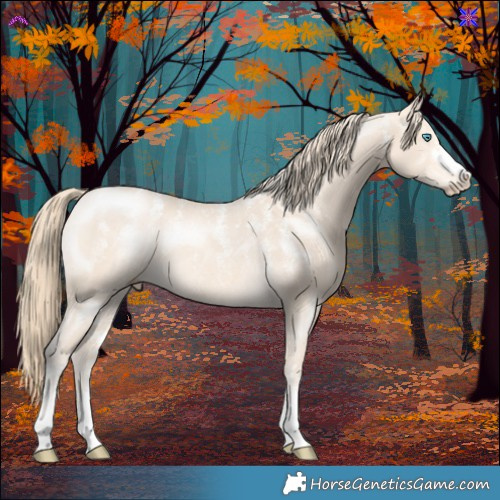 Horse Color:Powder White Perlino Rabicano 