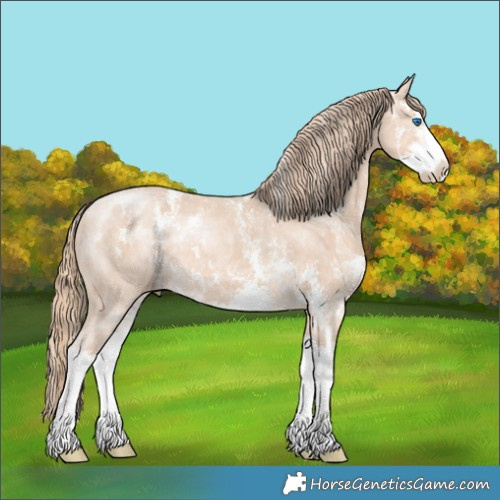 Horse Color:Powder White Perlino Sabino Splash Rabicano 