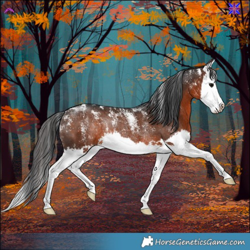 Horse Color:Powder White Brown Splash Rabicano 