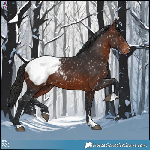 Horse Color:Brown Snowcap 