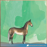 Horse Color:Silver Buckskin 