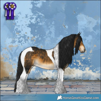 Horse Color:Gray Buckskin Tobiano 