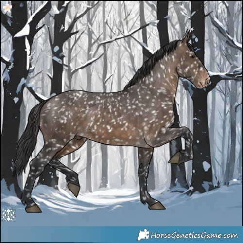 Horse Color:Brown Dun Snowflake Varnish