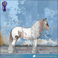 Horse Color:Liver Chestnut Tobiano Near Leopard 