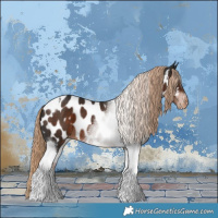 Horse Color:Liver Chestnut Tobiano Near Leopard 