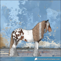 Horse Color:Liver Chestnut Tobiano Near Leopard 