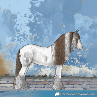 Horse Color:Liver Chestnut Tobiano Near Leopard 
