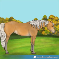 Horse Color:Silver Buckskin 