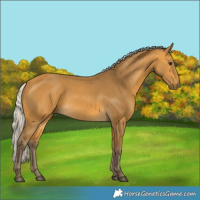 Horse Color:Silver Buckskin 