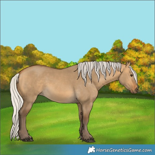 Horse Color:Silver Buckskin Dun 