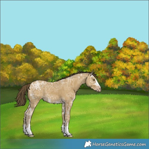 Horse Color:Classic Cream Champagne Ice 