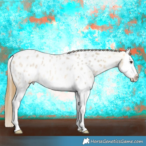 Horse Color:Buckskin Roan Dun Splash Appaloosa Rabicano 