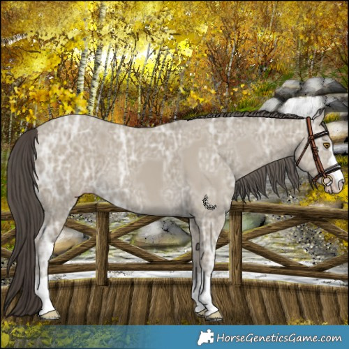 Horse Color:Classic Cream Champagne Ice 