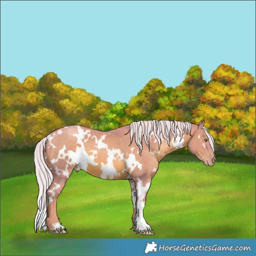 Horse Color:Watercolor White Spotted Silver Black Pearl 