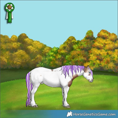 Horse Color:Painted White Spotted Silver Blue Onyx Tobiano Frame 