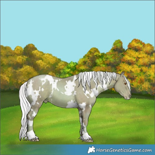Horse Color:Watercolor White Spotted Silver Black Pearl 