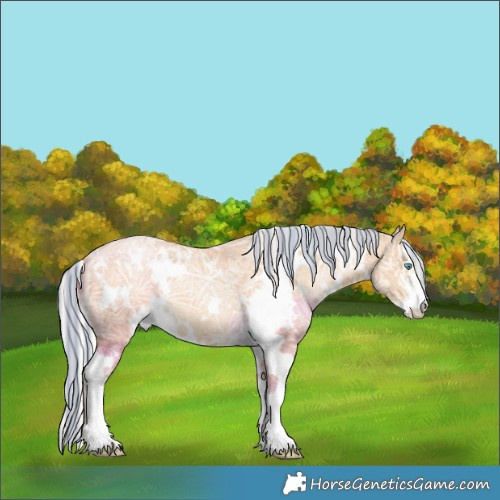 Horse Color:Painted White Spotted Silver Buckskin Ice Pearl 