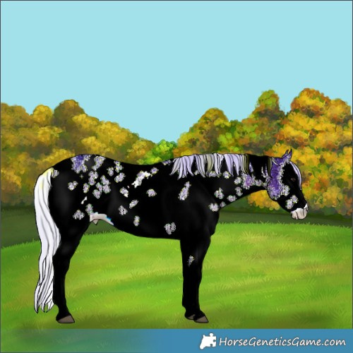 Horse Color:Watercolor White Spotted Silver Brown Ice Sabino 