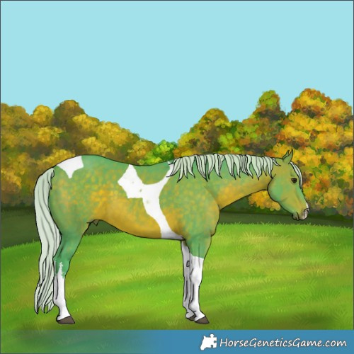 Horse Color:Watercolor White Spotted Silver Brown Tobiano 