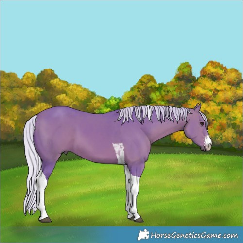 Horse Color:Watercolor White Spotted Silver Bay Tobiano 