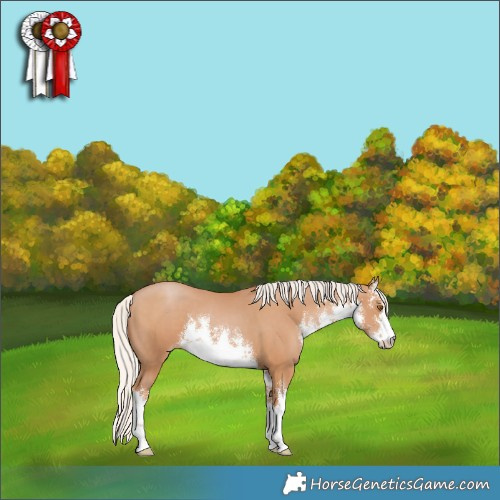 Horse Color:White Spotted Silver Black Pearl 