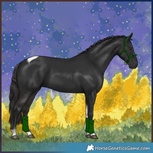 Horse Color:Liver Chestnut Tobiano 