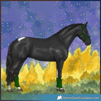 Horse Color:Liver Chestnut Tobiano 