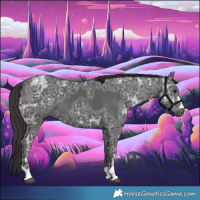 Horse Color:Smoky Black Ice 