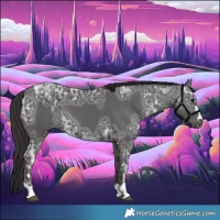 Horse Color:Smoky Black Ice 