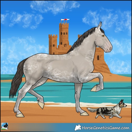 Horse Color:Classic Cream Champagne Ice 