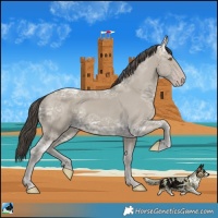 Horse Color:Classic Cream Champagne Ice 