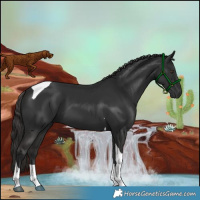 Horse Color:Liver Chestnut Tobiano