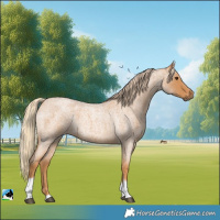 Horse Color:Red Roan Tobiano 
