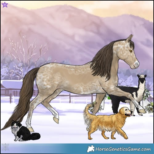 Horse Color:Classic Cream Champagne Ice 