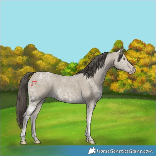 Horse Color:Classic Cream Champagne Ice 