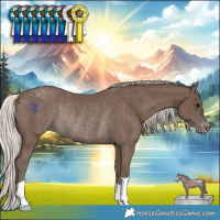 Horse Color:Silver Black Varnish Rabicano
