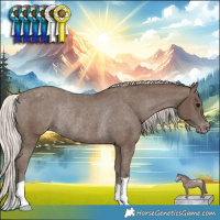 Horse Color:Silver Black Blanket Rabicano