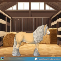 Horse Color:Palomino 
