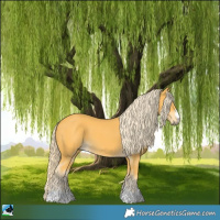 Horse Color:Palomino