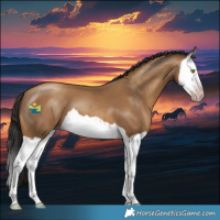 Horse Color:Gray Amber Champagne Splash 