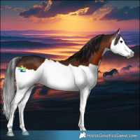 Horse Color:Gray Bay Splash 